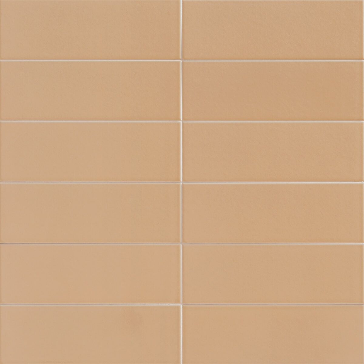 JUNGLE - ジャングル(EARTH)