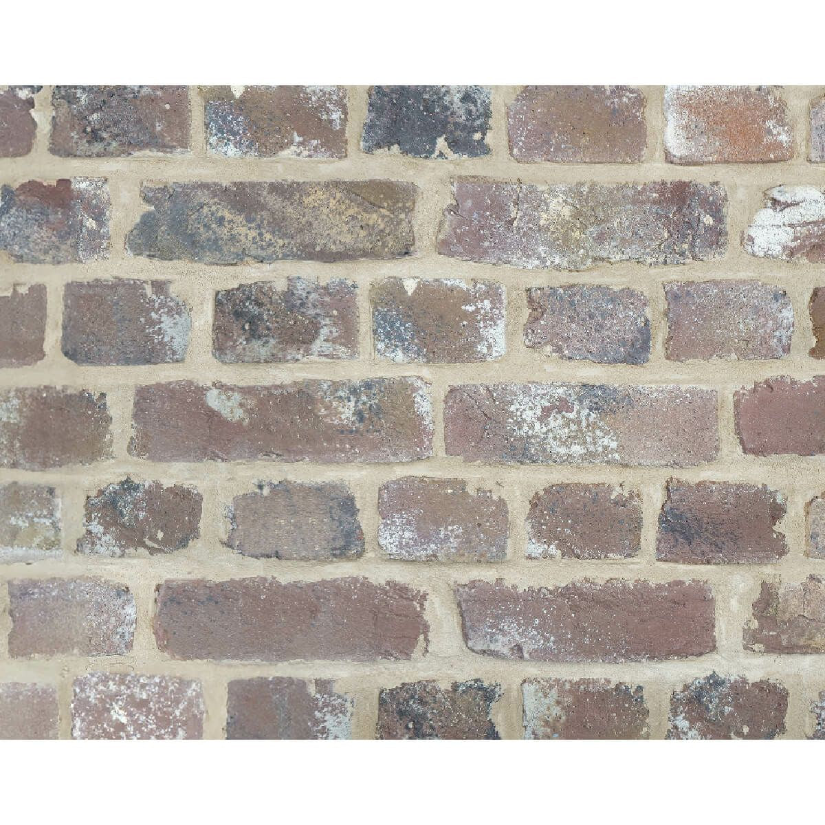 キャン’ブリック マンチェスター