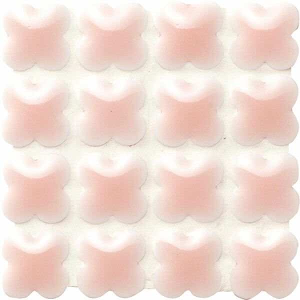 ［数量限定］フィオレッティ