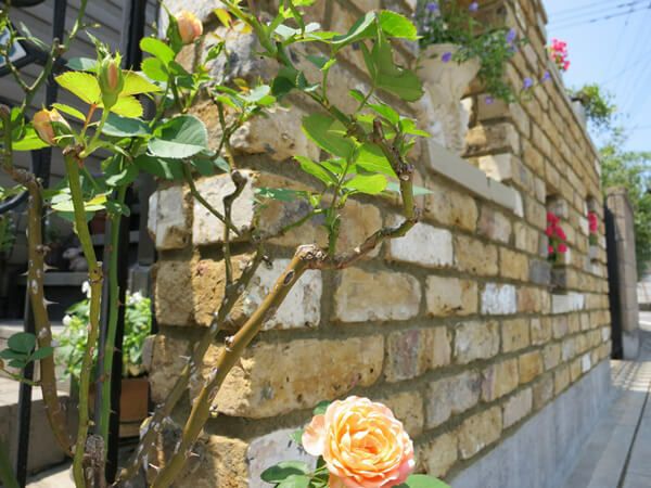 オールドロンドンイエロー – ボウクス・タイルマーケット