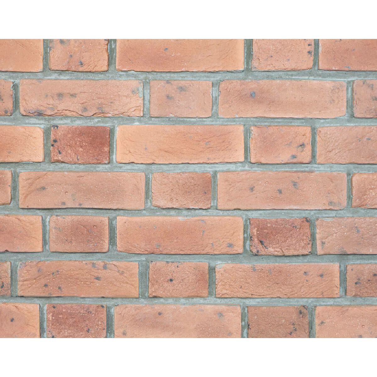 キャン’ブリック セントジェームス