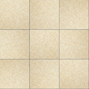 グラン舗石-サリダII