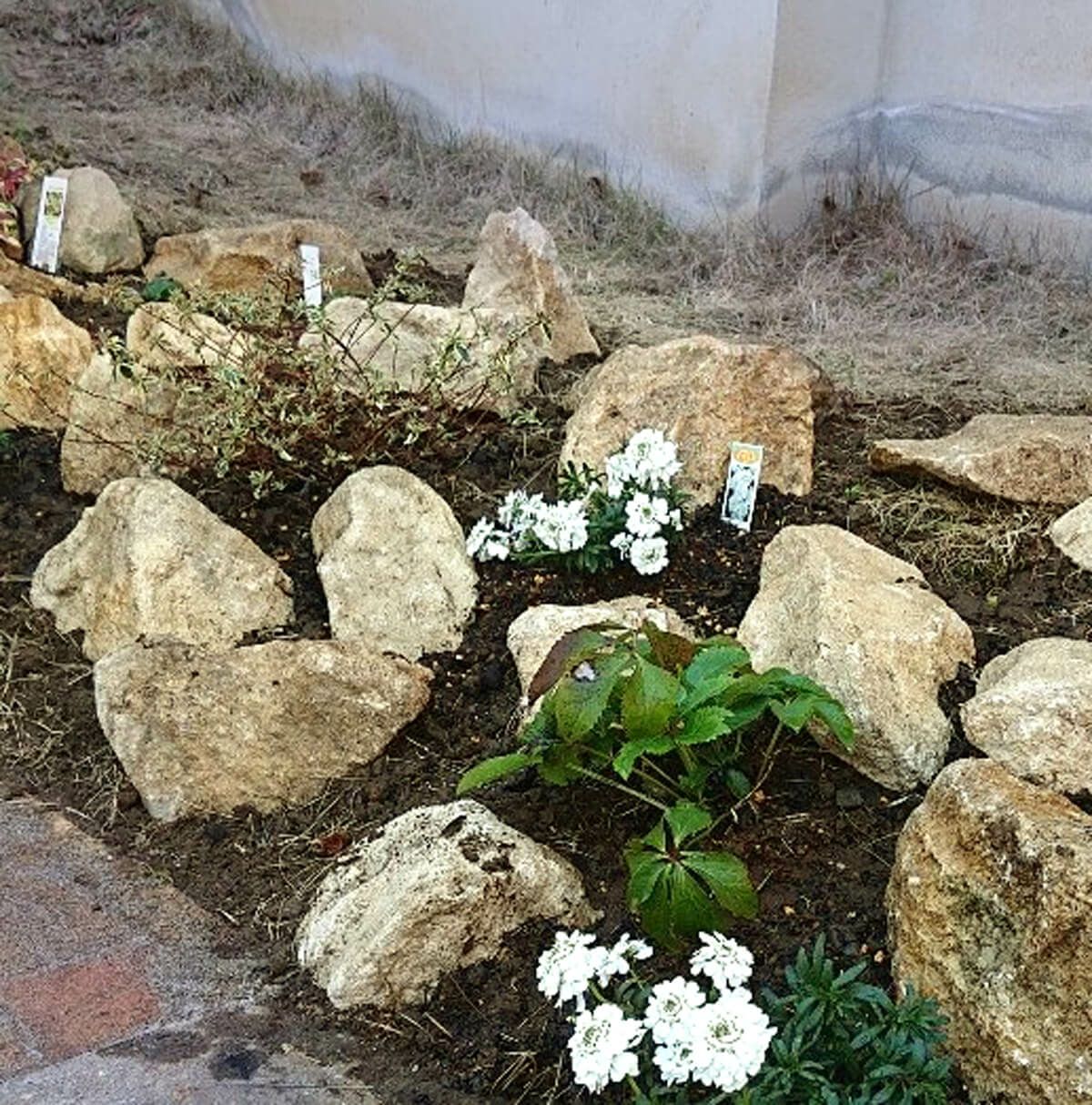 コッツウォルズストーン  ロックタイプ