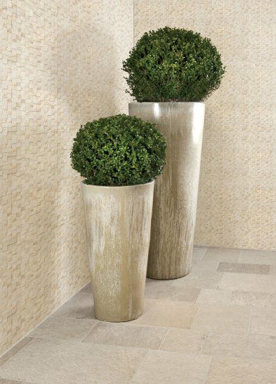 コーラルモザイコ