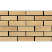 ストラG 二丁掛平(1ケース)