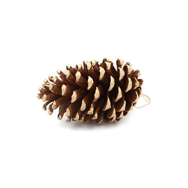 オーナメント　ビックパインコーン  COH-718