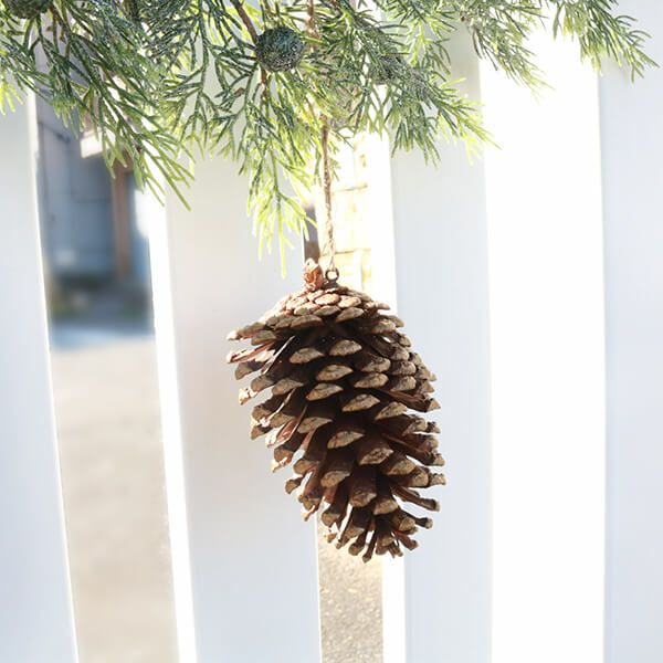 オーナメント　ビックパインコーン  COH-718