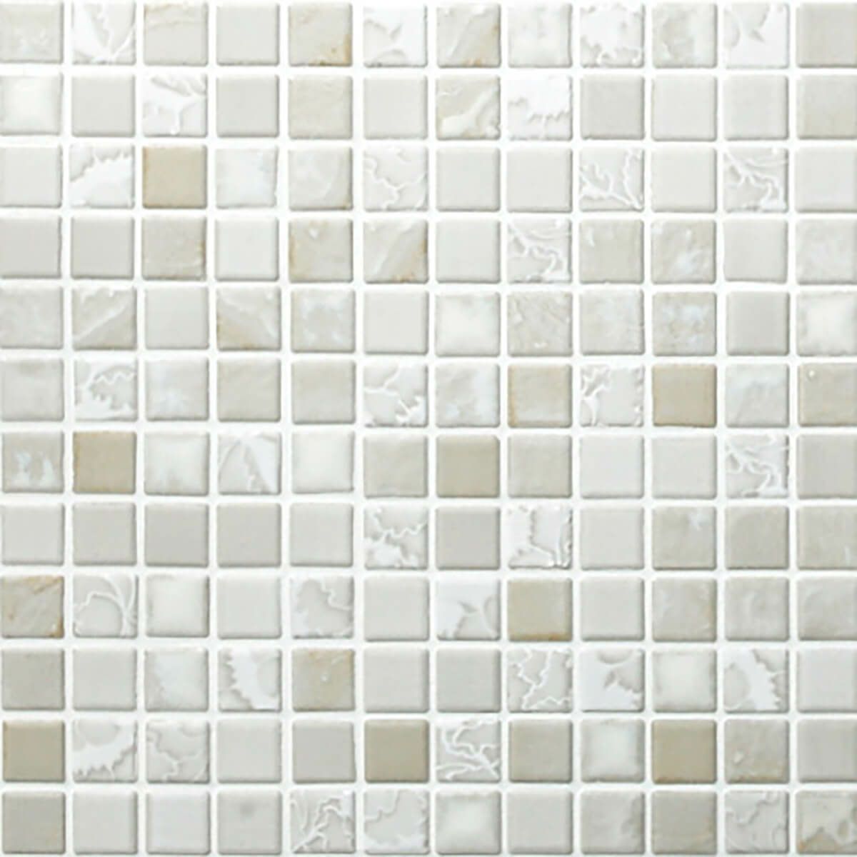 シャクヤク 両面取