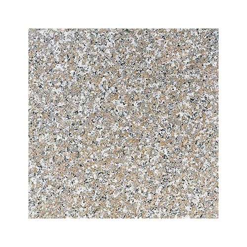 マルコポーロ（磨き）