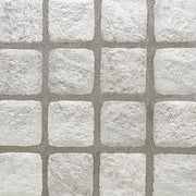 ラグタイム・ネクスト