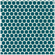 ハイカラー【V】