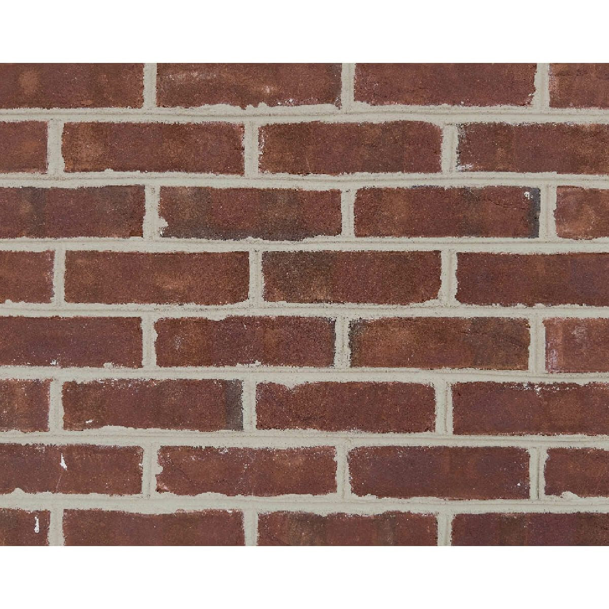 キャン’ブリック G.G. ケントランズ