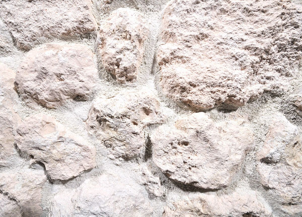 キャン’ストーン コーラル