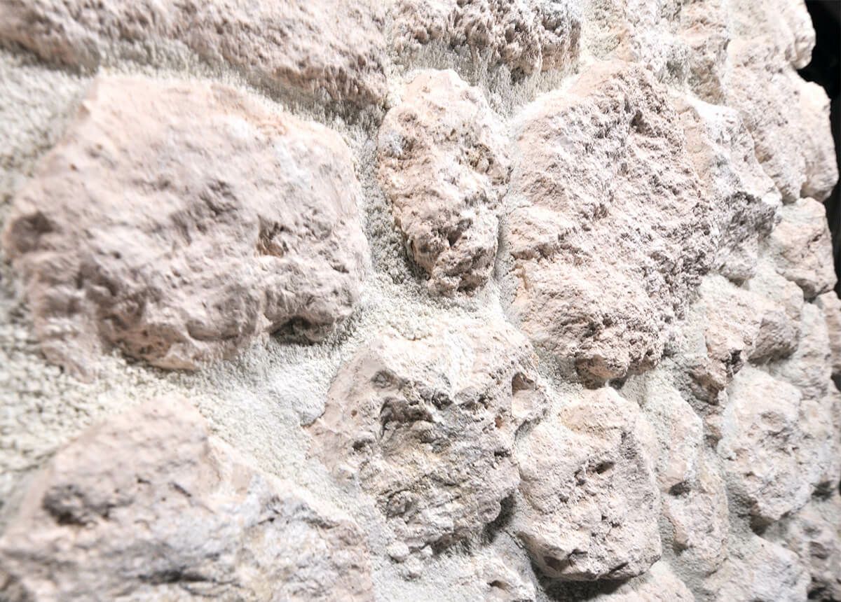 キャン’ストーン コーラル