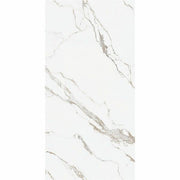 マルミマキシマム