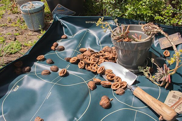 リポット シート S  G21-0389SBR