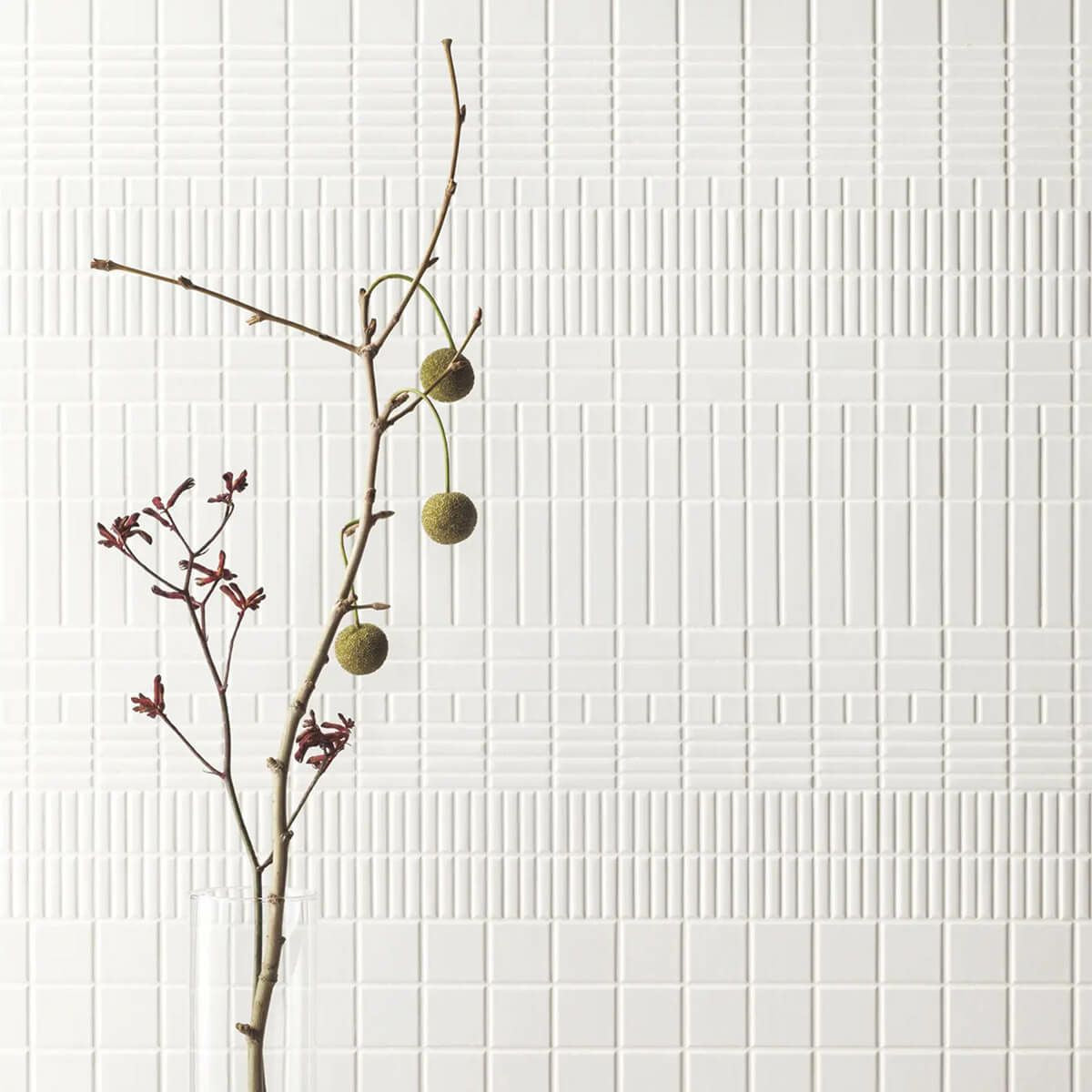 セリエビアンカII