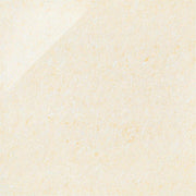 ニューセンチュリー