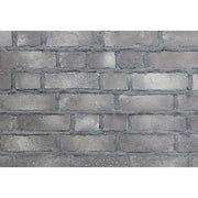 キャン’ブリック クロブリ