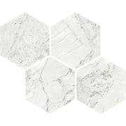 クラシコマルモ