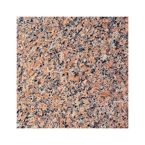 マルコポーロ（磨き）