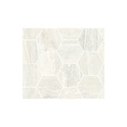 Invictus - インヴィクタス(White)