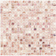 CELESTE - セレステ