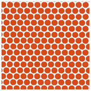 ハイカラー【V】