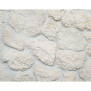 キャン’ストーン コーラル