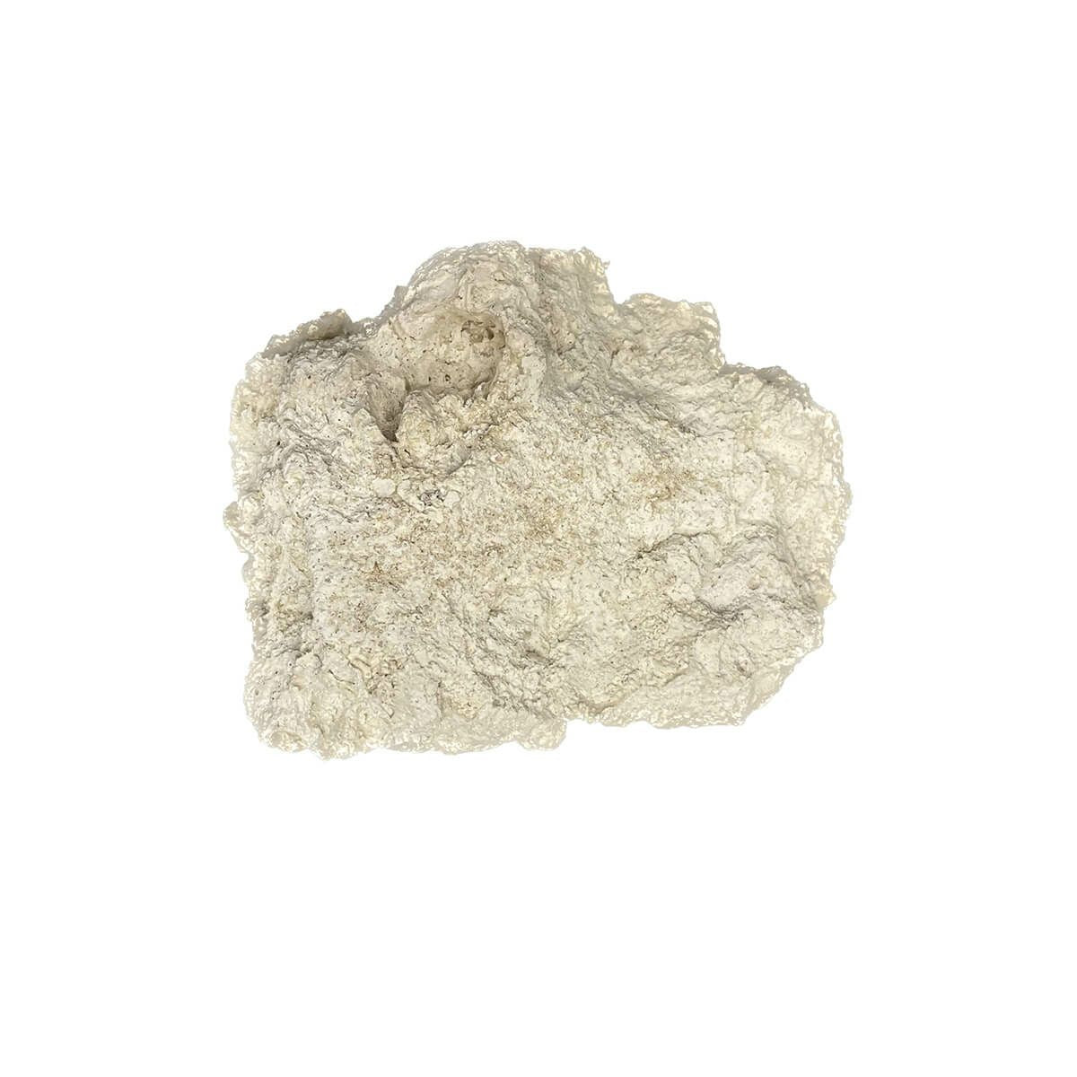 キャン’ストーン コーラル