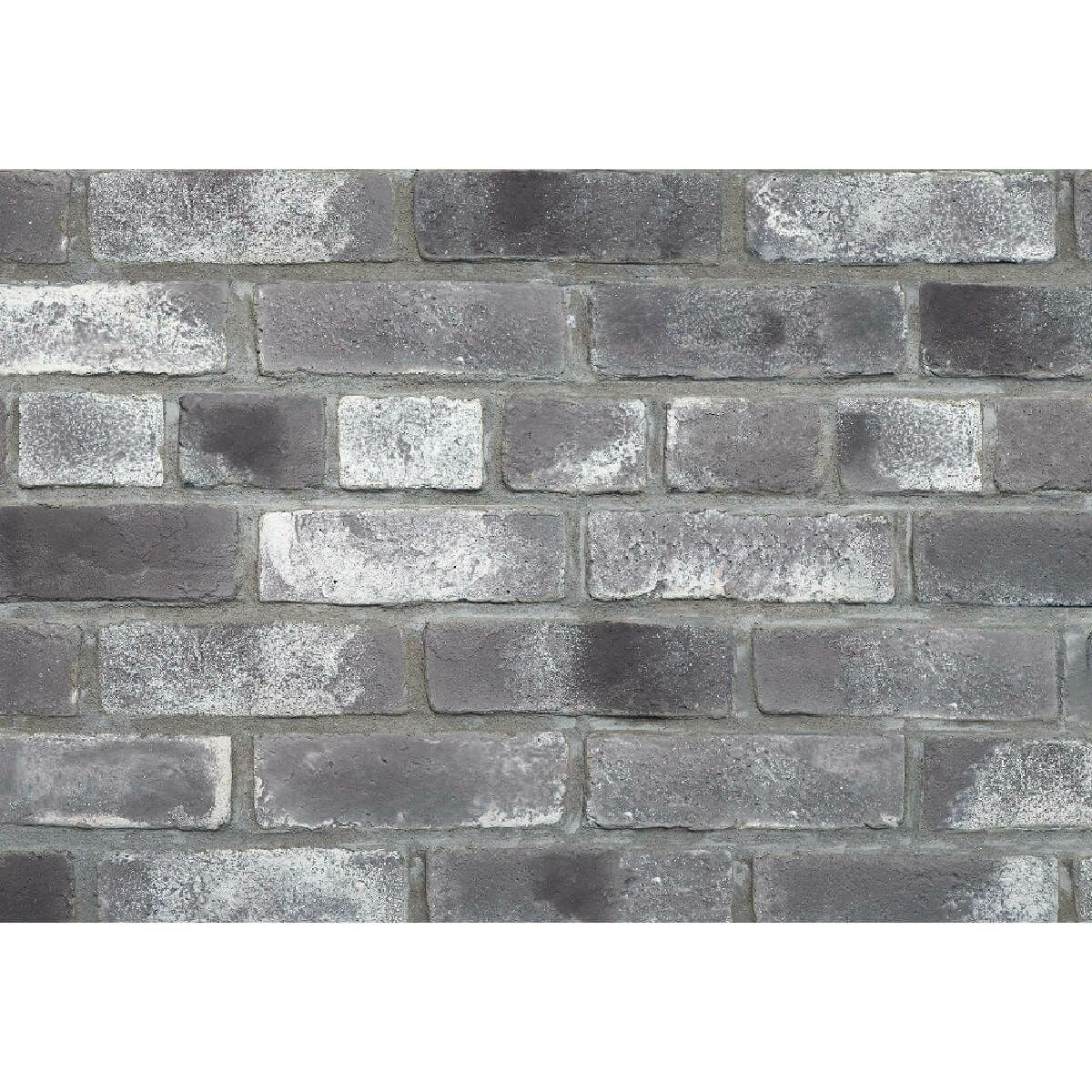 キャン’ブリック スタンダード