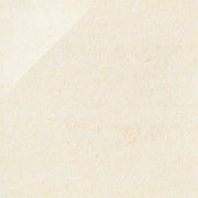 ニューセンチュリー