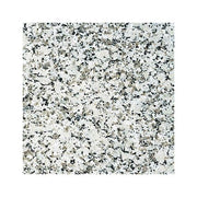 マルコポーロ（磨き）