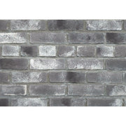 キャン’ブリック スタンダード