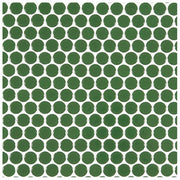 ハイカラー【V】