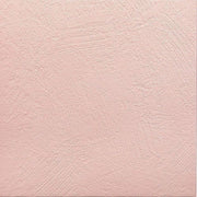 フェミーナ<br>エコカラットプラス