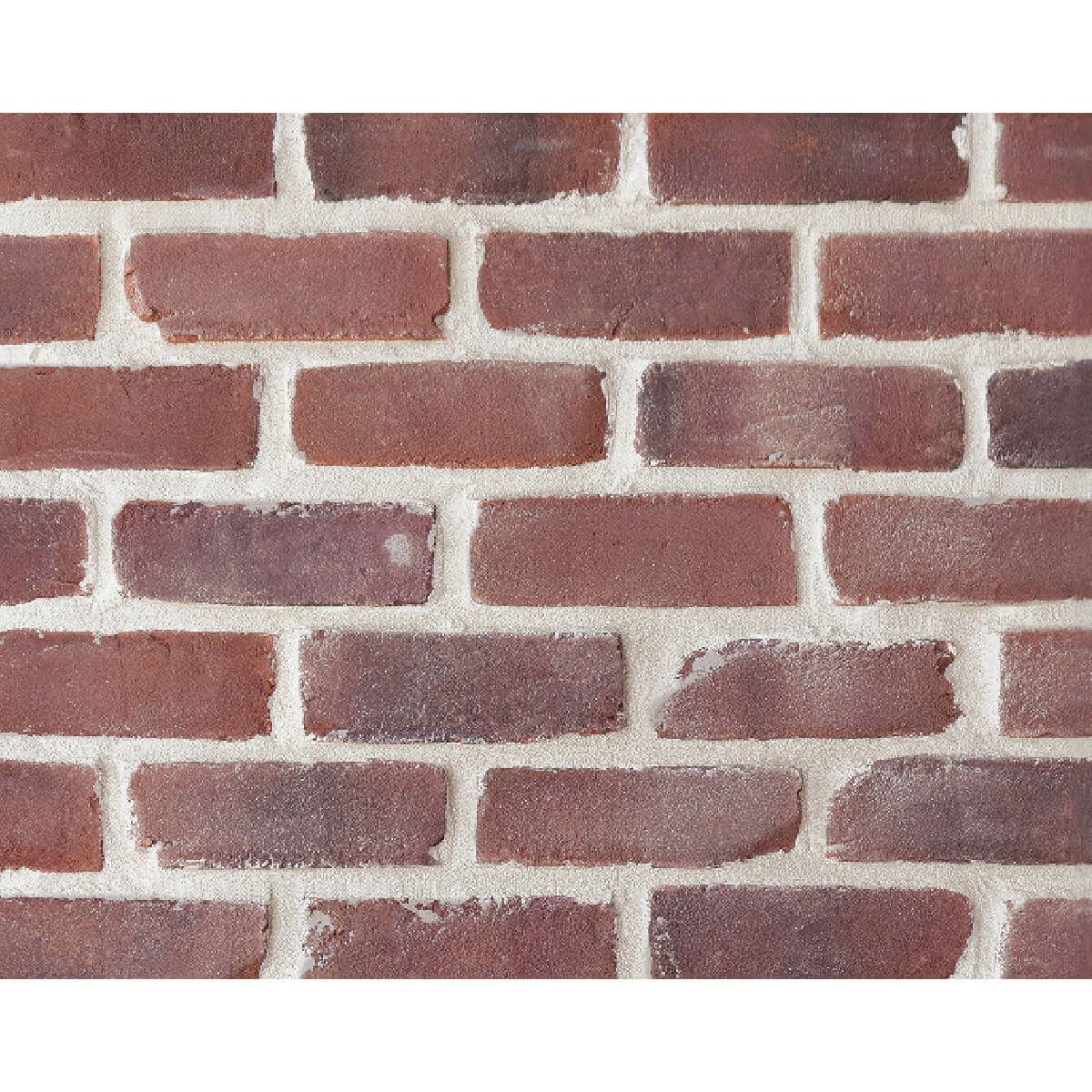 キャン’ブリック モンタナ