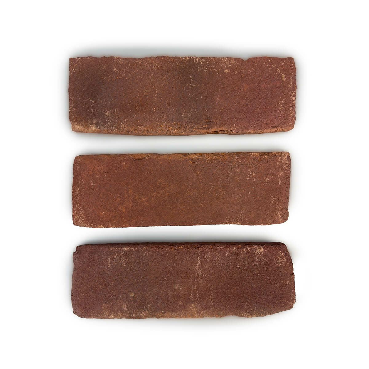 キャン’ブリック モンタナ