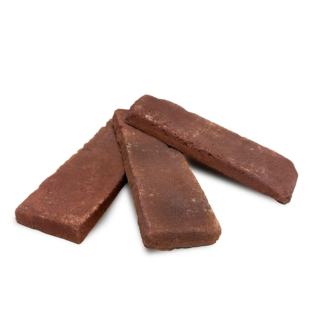 キャン’ブリック モンタナ