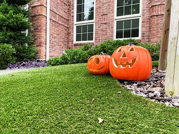 パンプキンLEDランタンA  pumpkin_LED A