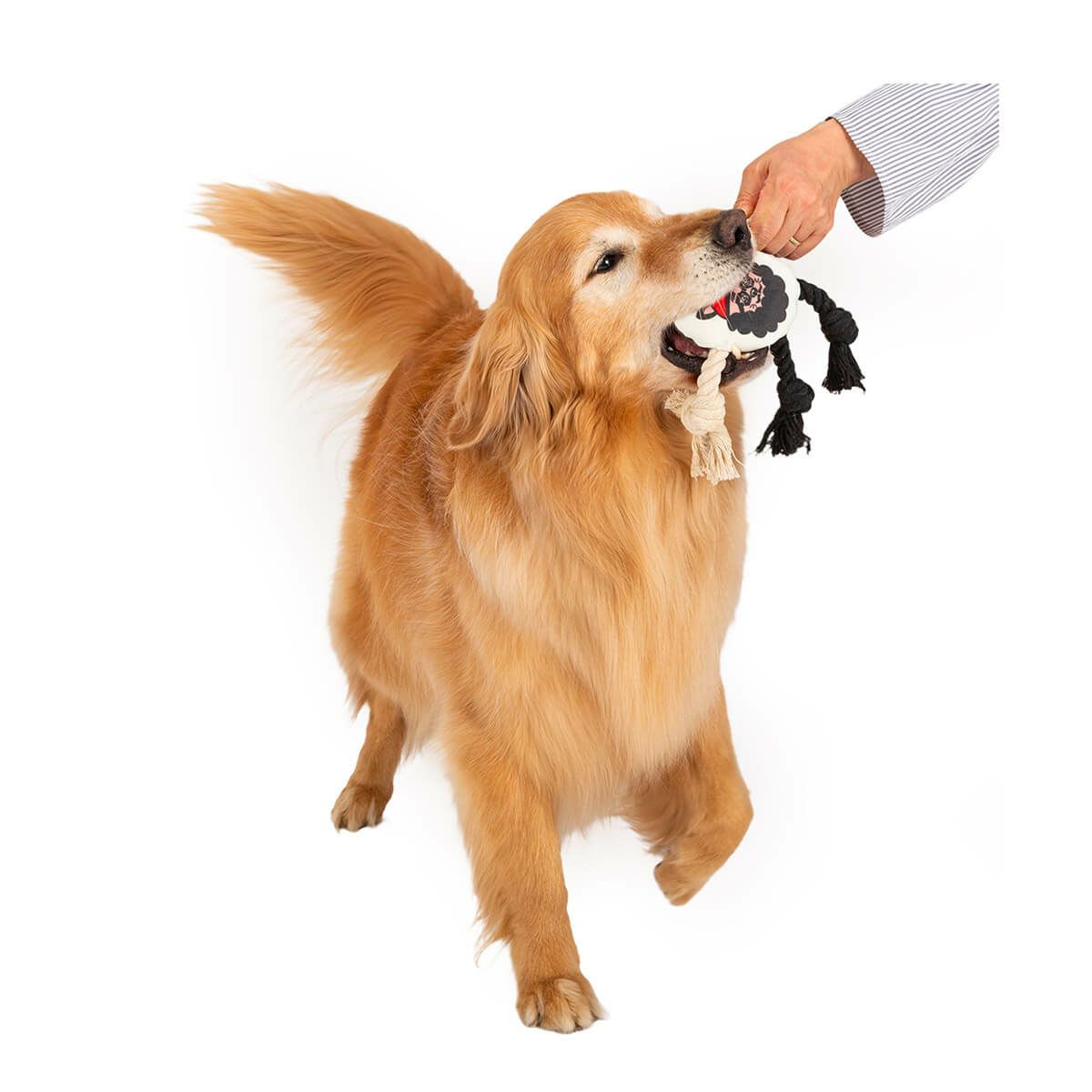 チービー クレイジーオーサム ロープ トイ