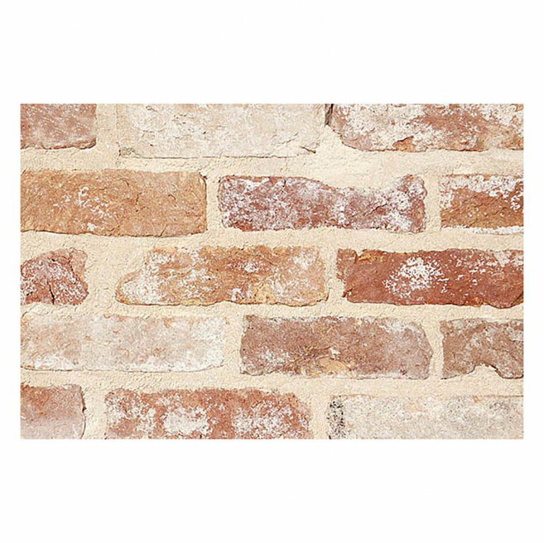 バーミンガムオレンジ