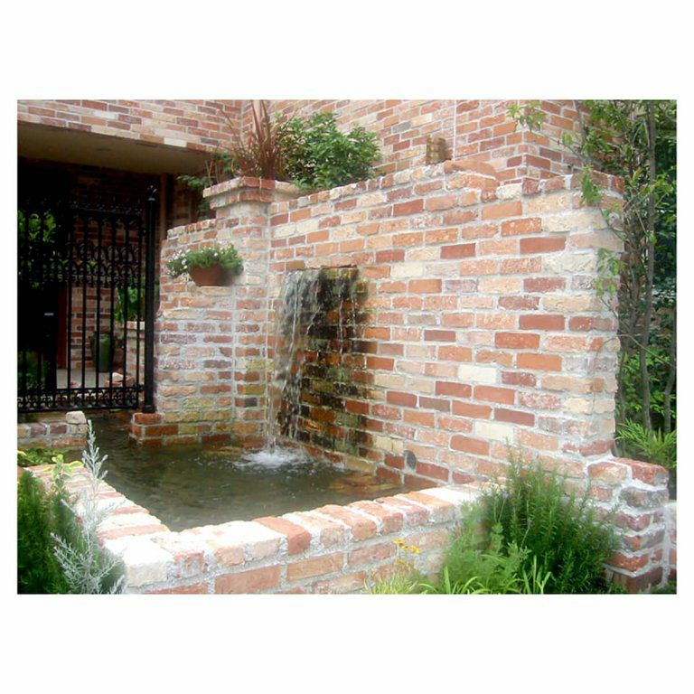 バーミンガムオレンジ