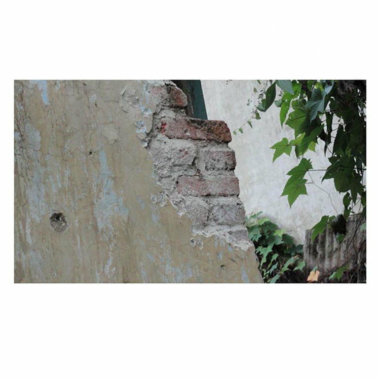 バーミンガムオレンジ