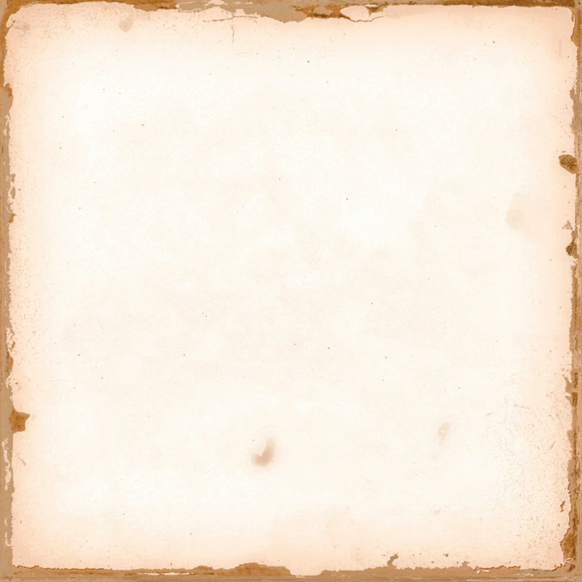 CASABLANCA - カサブランカ(WHITE)