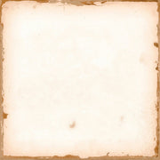 CASABLANCA - カサブランカ(WHITE)