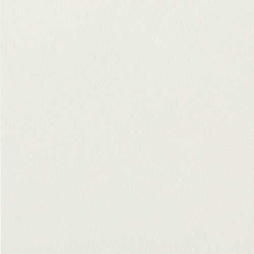 ニュートランス（フラット）<br>エコカラットプラス