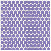 ハイカラー【V】