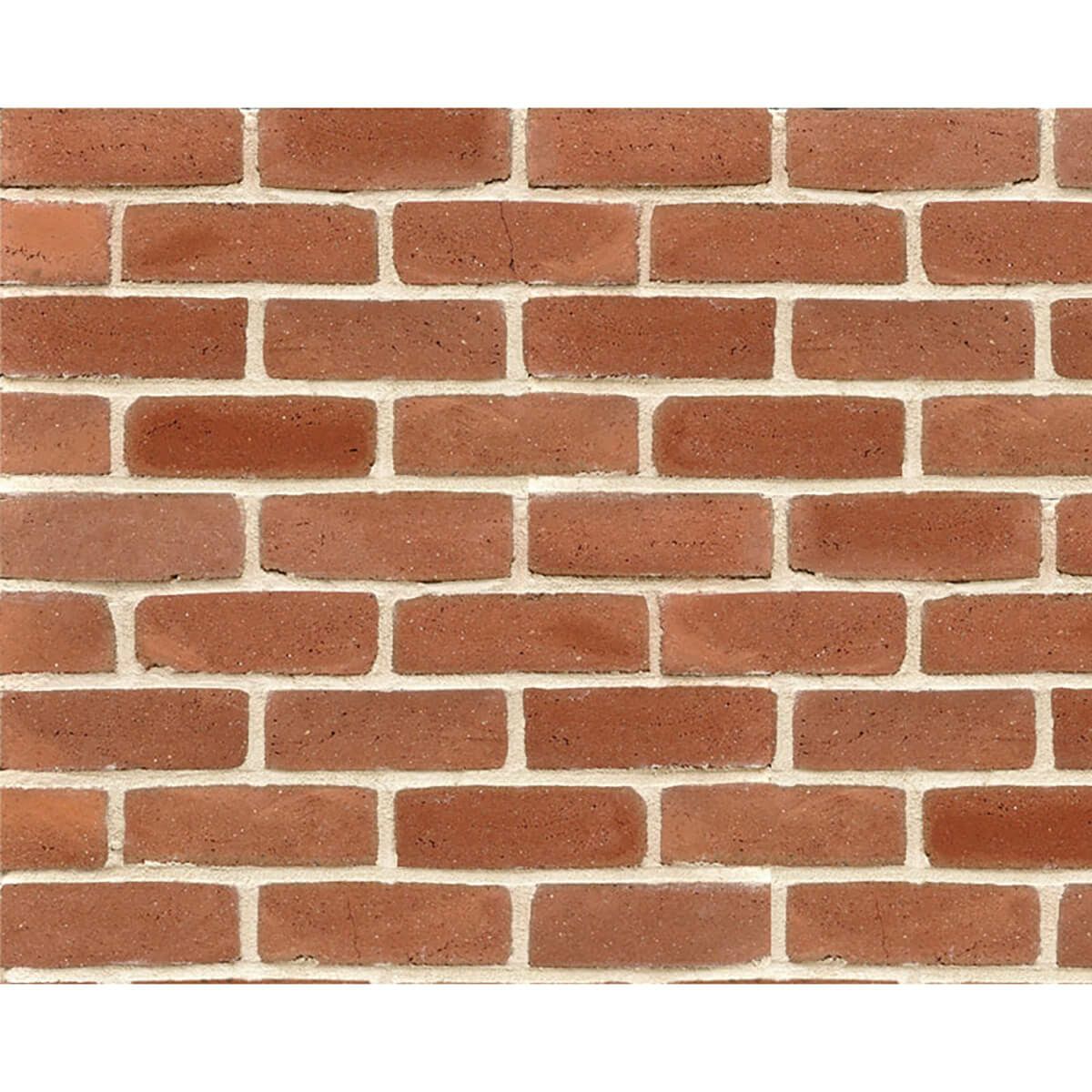 キャン’ブリック G.G.ブルックリン