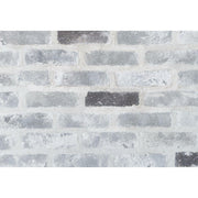 キャン’ブリック テキサスクレンショー